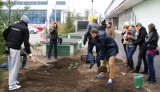 AWF Poznań: Studencki Czyn Społeczny [ZDJĘCIA]