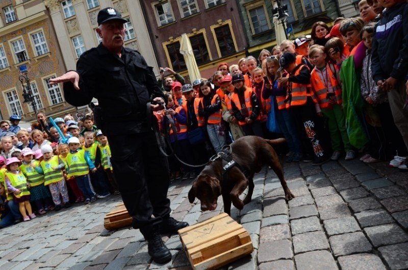 Poznań - Happening na Starym Rynku [ZDJĘCIA, WIDEO]