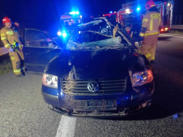 Groźny wypadek na S8. Auto potrąciło łosia. Dwie osoby w szpitalu