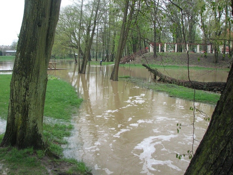 Syców: Park pod wodą