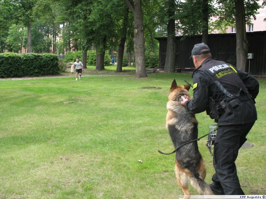 Policjanci z Augustowa na festynie w liceum [zdjęcia]