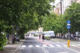 Przyszłość drzew rosnących na ulicy 27 Grudnia w Poznaniu. Wycinka jest nieuchronna?