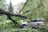 Podsumowanie skutków burzy w Łódzkiem. Najbardziej ucierpiała Łódź i sąsiednie powiaty