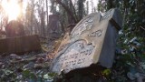 Spacer po częstochowskim cmentarzu żydowskim [ZDJĘCIA]