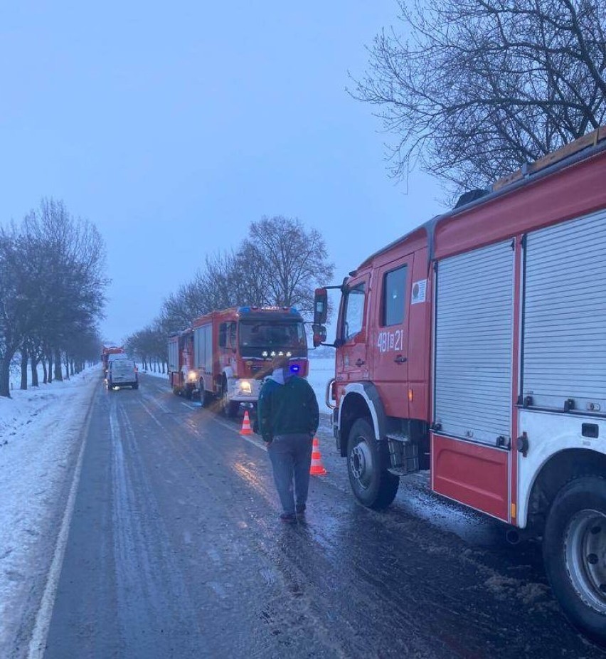 Wypadek na drodze krajowej nr 55 w gminie Nowy Staw. Bus wypadł z jezdni, 5 osób zostało rannych