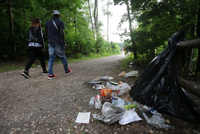 Tak wyglądał Starganiec po ostatnim weekendzie. Zdjęcia wykonano 13 lipca.