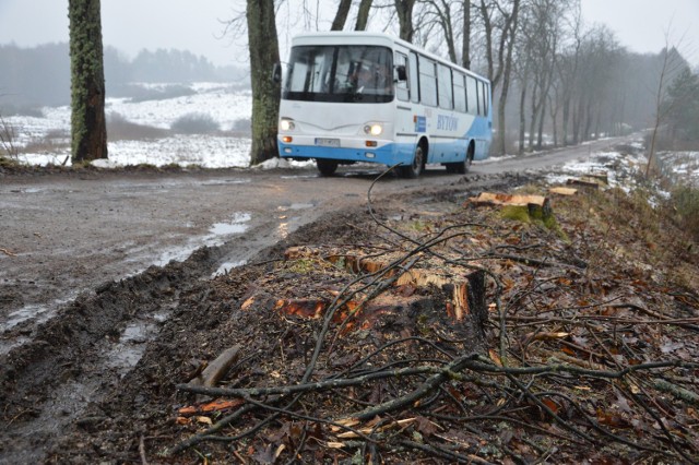 Pod koniec ubiegłego roku rozpoczęła się wycinka około 400 drzew przy drodze tzw. Role-Rozjazd. To dało mieszkańcom nadzieję, że jednak modernizacja tej trasy będzie realizowana