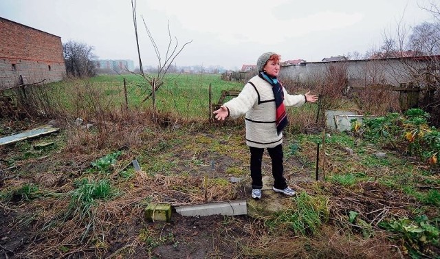 Nowe studium zakłada, że przez gospodarstwo Aliny Siwczak będzie przebiegać droga