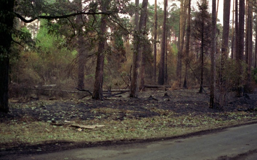 Spalony las - 1993 rok