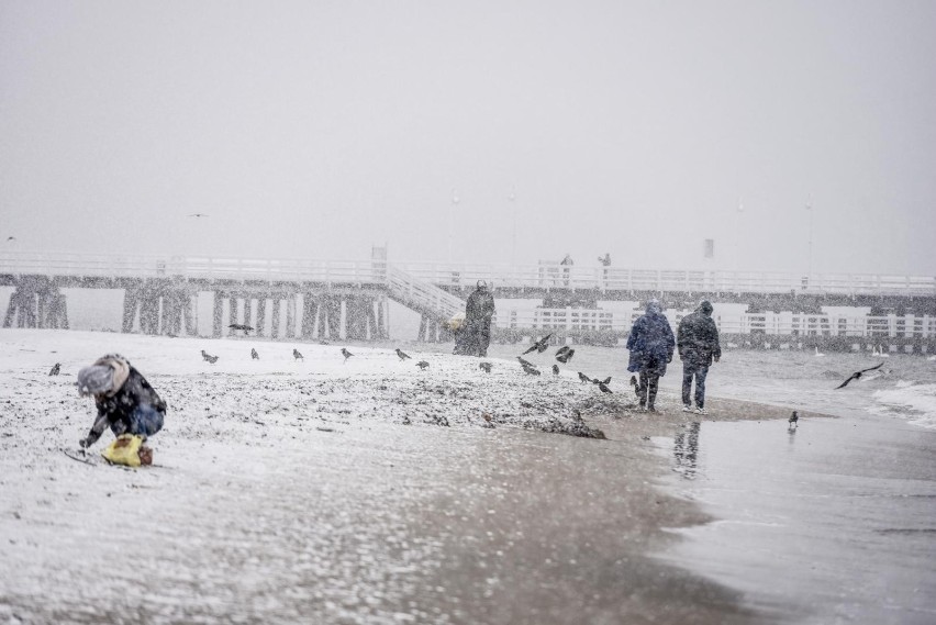 Prognoza średniej temperatury powietrza „powyżej normy” nie...