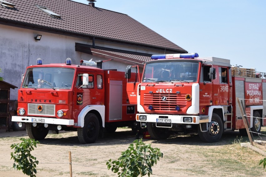 Udowodnili, że dobrze wiedzą jak pomagać ofiarom wypadków. W...