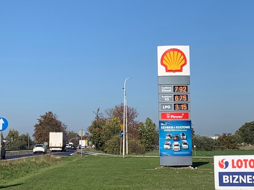 Stacja Shell Bogdanowo

ON 7,92zł

PB95 6,75zł

LPG 3,15zł