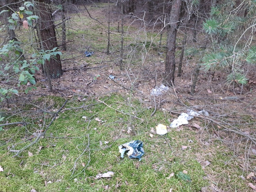 Śmieci w lesie w Konradowie