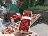 Trwa sezon na truskawki. Sprawdziliśmy za ile kupisz kilogram truskawek w Jeleniej Górze!