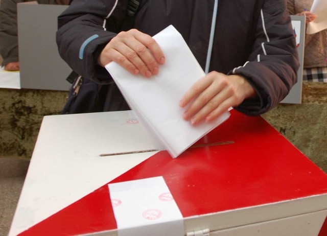 Wybory w powiecie międzychodzkim