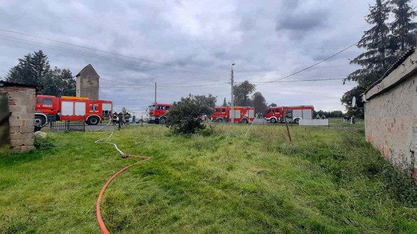 Pożar domu jednorodzinnego w Młynarach [ZDJĘCIA]