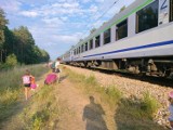 Awaria pociągu PKP Intercity relacji Gdynia - Warszawa – Kraków we wsi Dęba pod Opocznem. Pomagali strażacy - ZDJĘCIA