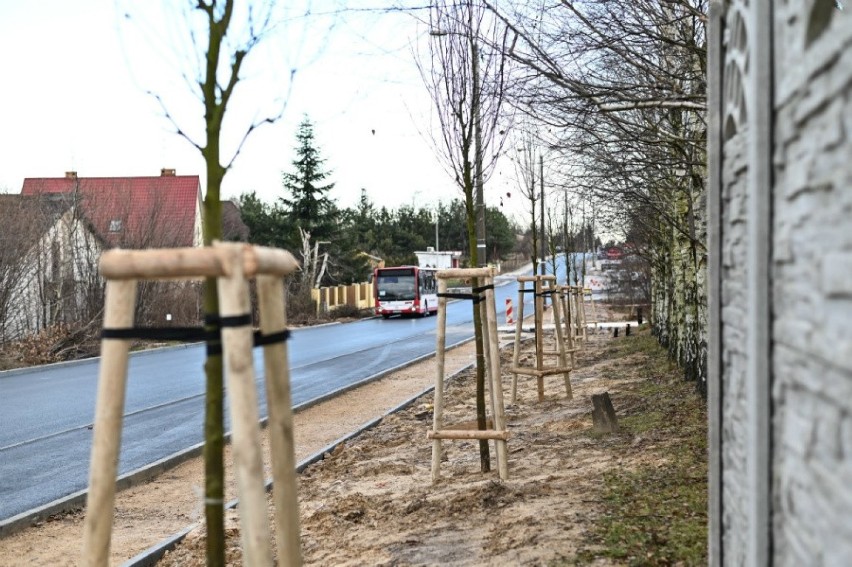 Miejski Zarząd Dróg i Transportu w Częstochowie zadbał o...