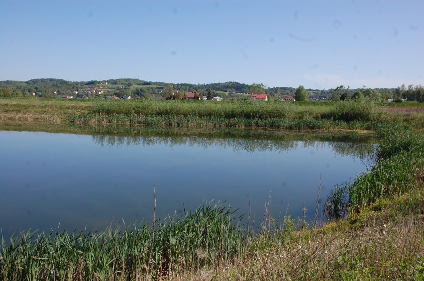 Most w Przysiekach połączył dwie części wsi. Rzeka Ropa już nie dzieli [ZDJECIA]
