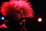 Melvins we wrocławskim klubie Firlej - fotorelacja