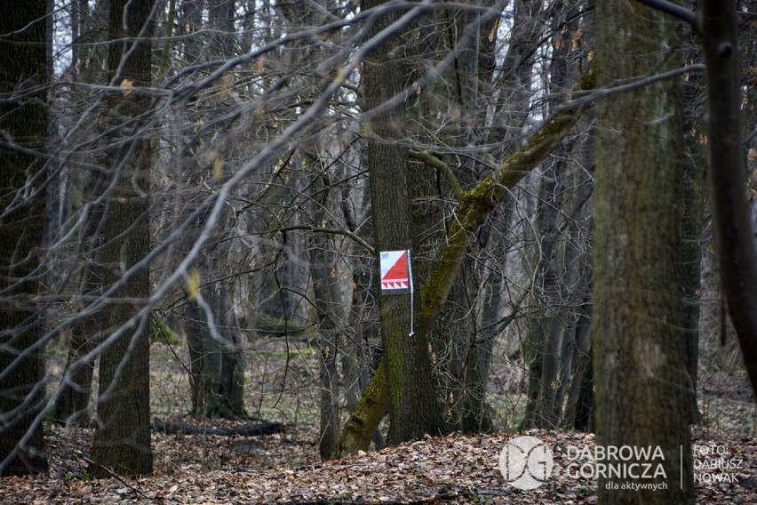 Zimowy orienteering odbył się w Parku Zielona w styczniu, w...