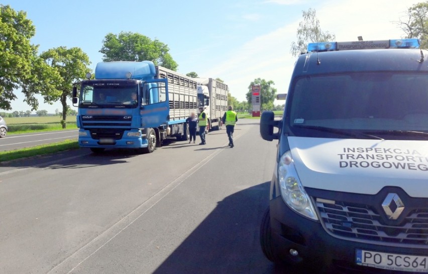 Przewozili żywe zwierzęta łamiąc przepisy. Zostaną ukarani