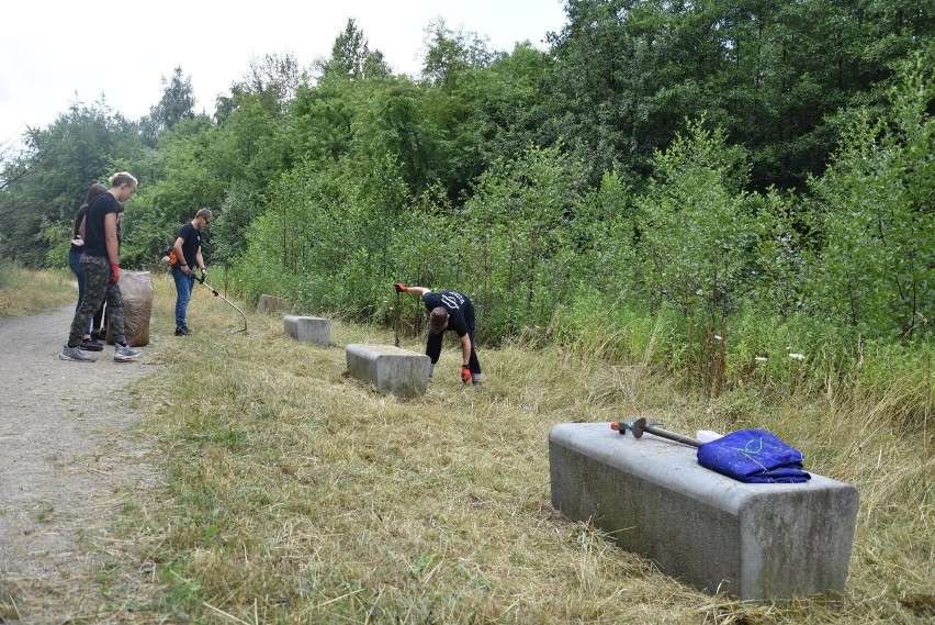 Wolontariusze Gwoździa koszą trawniki w Piekarach Śląskich....