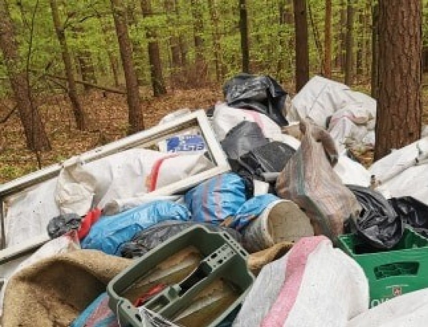 Lasy w olkuskim pełne śmieci