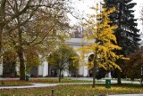Park Zdrojowy w Busku-Zdroju jesienią potrafi zachwycić. W części zachodniej wciąż trwa remont (ZDJĘCIA)