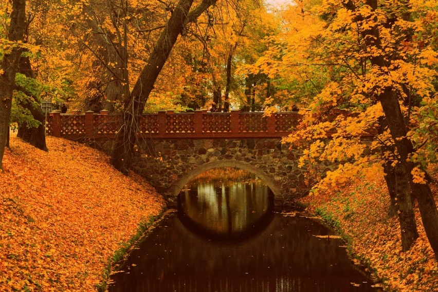 Piękno powiatu puckiego na jesiennych zdjęciach. Część I