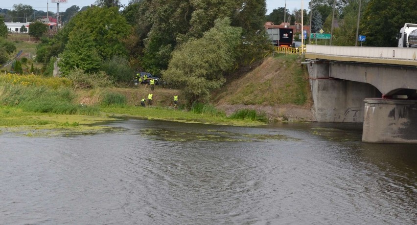 Saperzy przeszukują Nogat w Malborku. Znaleźli granat i pocisk [ZDJĘCIA]