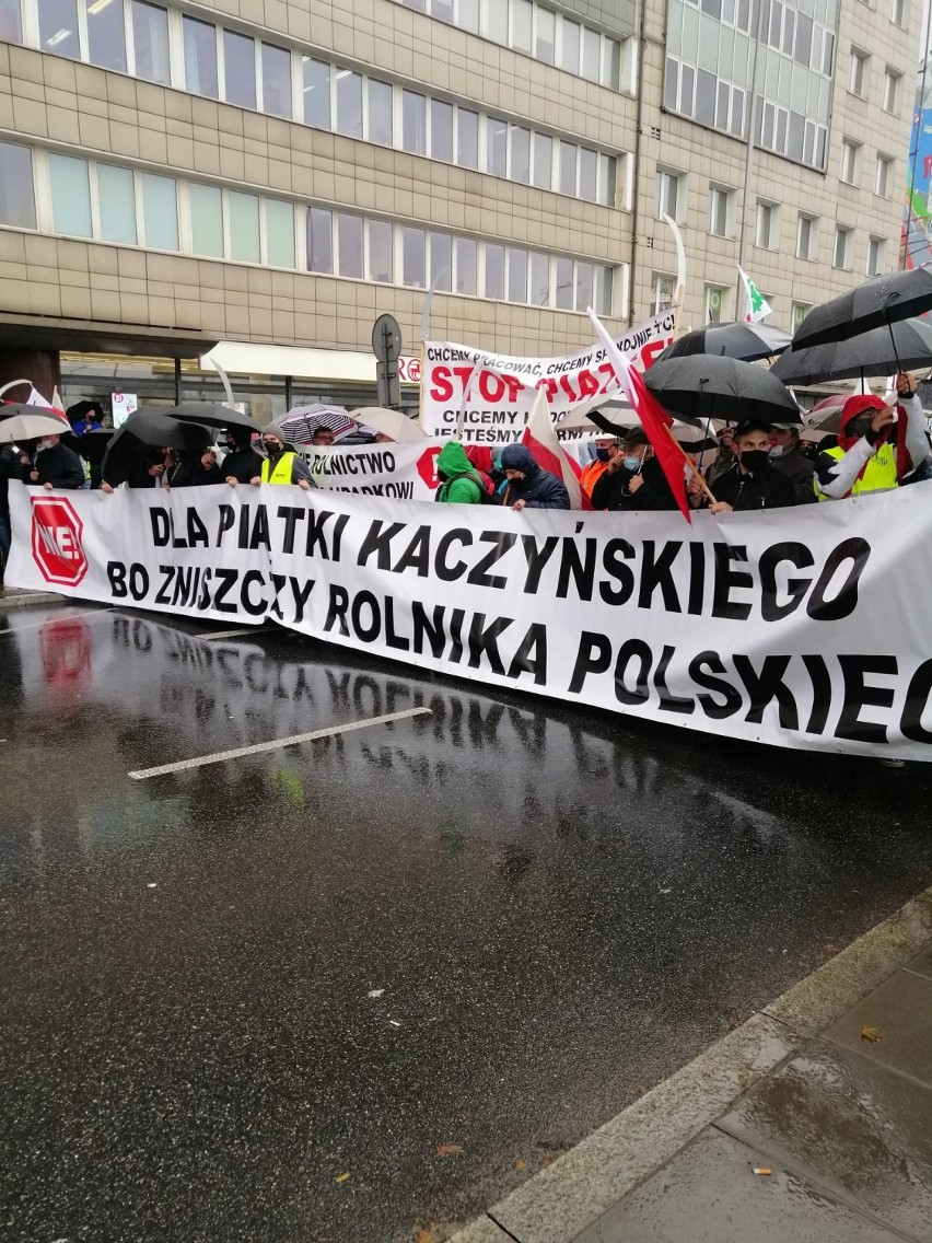 Rolnicy z powiatu gnieźnieńskiego protestowali w Warszawie [FOTO, FILM]