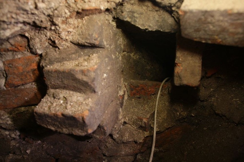 Kryptę pełną czaszek odkryto podczas prac remontowych w kościele św Brygidy