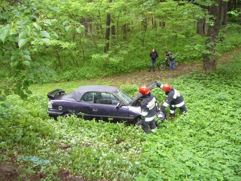 Wypadek w Dębicy. Auto wjechało w park [zdjęcia]