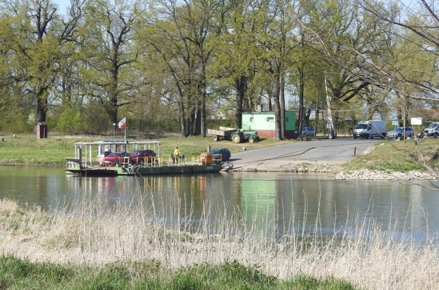 W czasie epidemii koronawirusa promy w Lubuskiem mogą zabierać na pokład do trzech samochodów