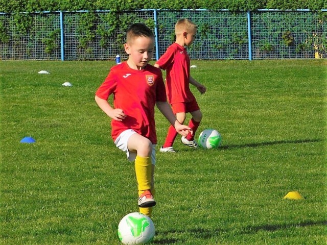 Kadry z treningów piłkarskich - czwartkowego młodzików i piątkowego żaków Pogoni Świebodzin przeprowadzonych na murawie głównej stadionu OSiR w Świebodzinie