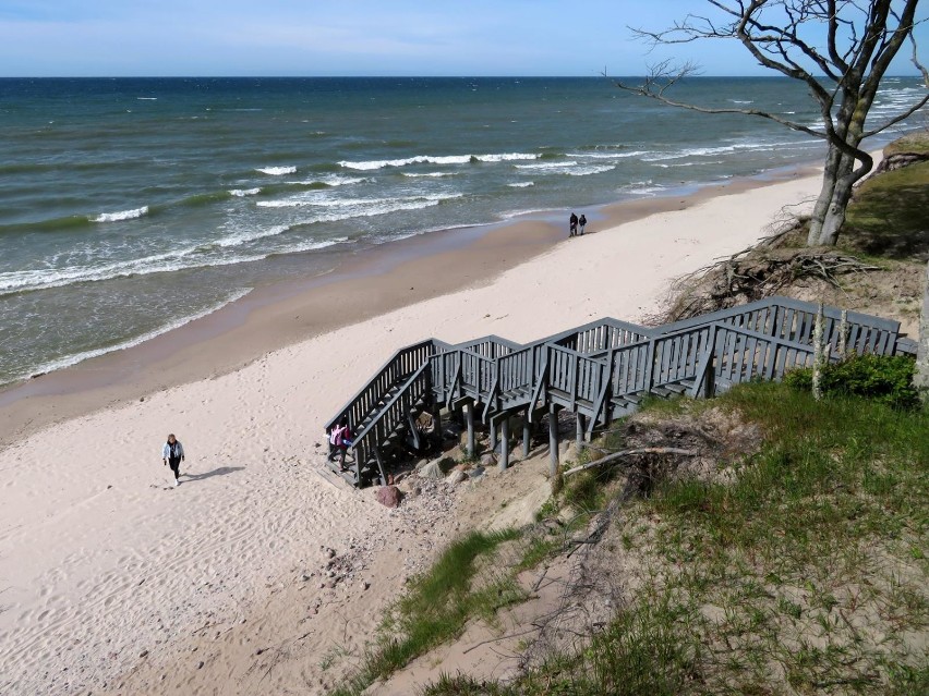 Dzika przyroda Czerwonego Szlaku. Ustka - Poddąbie