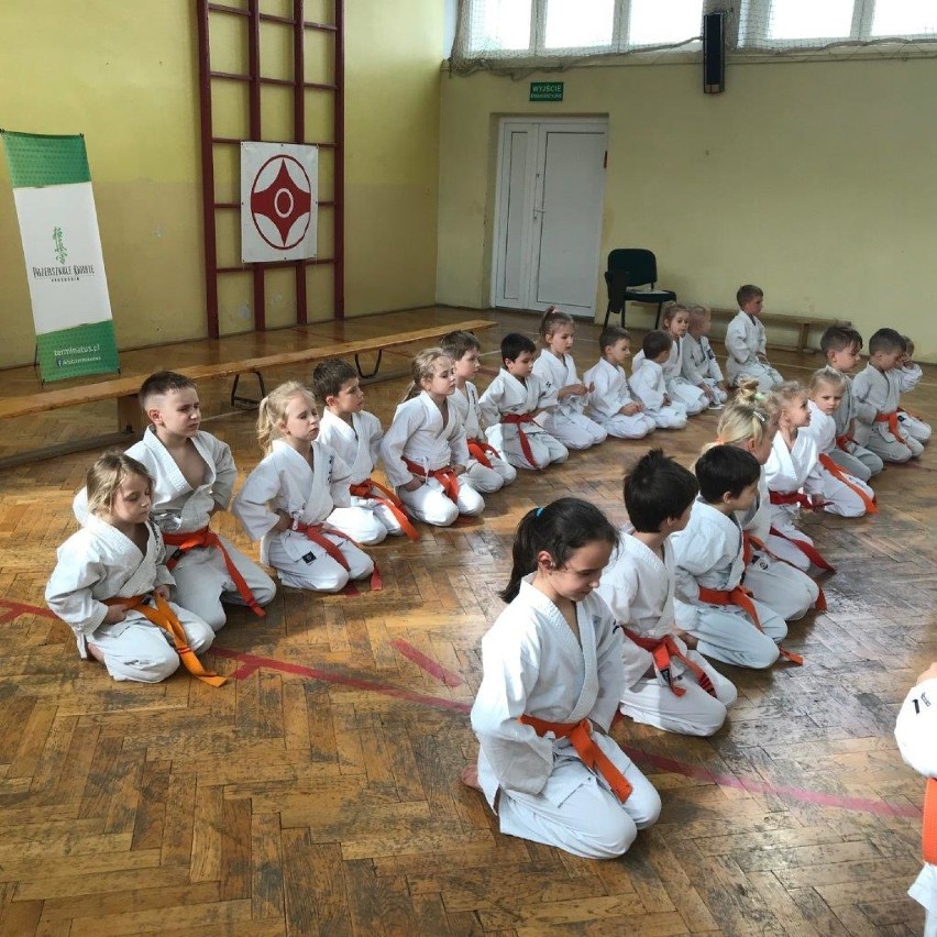 Dąbrowa Górnicza: pierwsze medale dla najmłodszych karateków ZDJĘCIA 