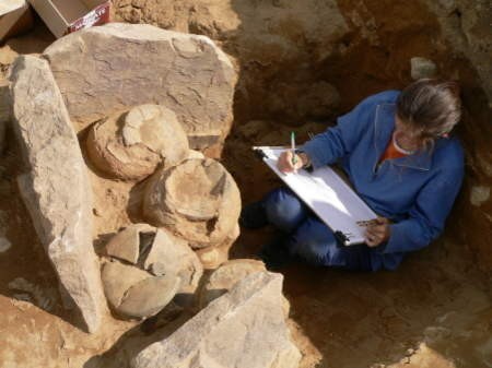 Najważniejsze odkrycia archeologiczne to najczęściej przypadki, tak jak to w Trzebiatkowej, gdzie 6 lat temu rolnik odkopał cmentarzysko sprzed 2,5 tysiąca lat. Konserwator został od razu zawiadomiony, a stanowisko dokładnie przebadane. FOT. ARCHIWUM