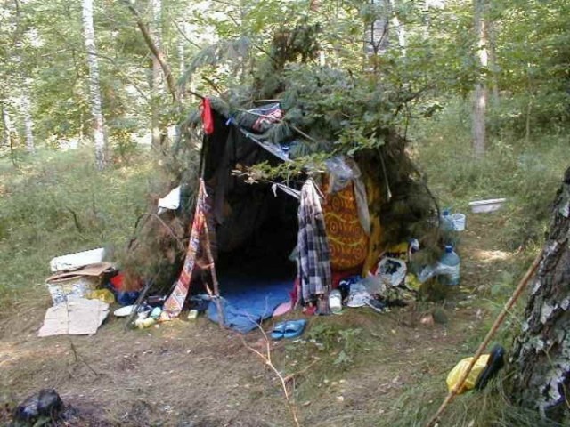 Leśny szałas wejherowskich bezdomnych