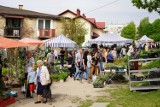 Targowisko w Olkuszu. Są już nowalijki, młode ziemniaki. Ceny przyprawiają o "zawrót głowy" [ZDJĘCIA]