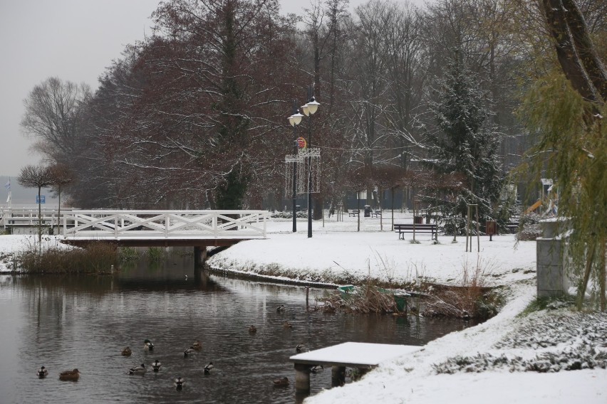 W Wolsztynie spadł pierwszy śnieg!