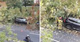 Niebezpieczne zdarzenie na warszawskiej Ochocie. Drzewo runęło na samochód osobowy. Trwa akcja Straży Pożarnej 