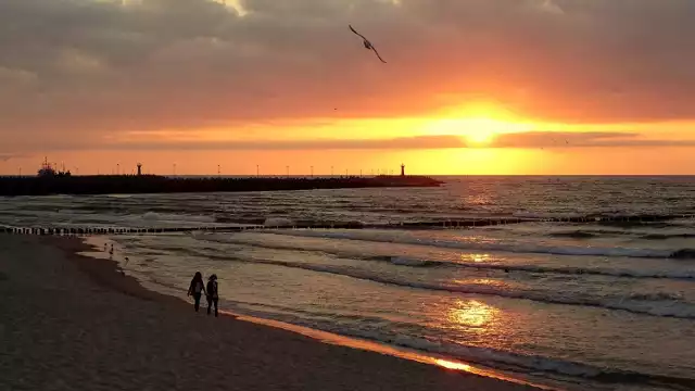 Sprawdźcie ranking plaż 2024 nad Bałtykiem! Takie są ulubione plaże mieszkańców Żnina i okolic. Podajemy je w galerii na kolejnych slajdach >>>