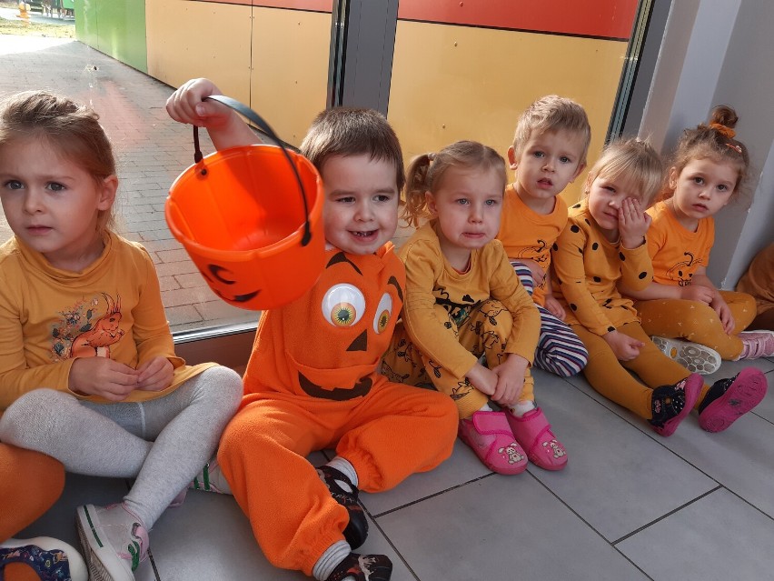 Przedszkole Miś w Szczecinku: festiwal dyni zamiast Halloween [zdjęcia]