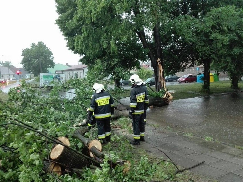 Potężna wichura nabałaganiła we wtorek w naszym powiecie....