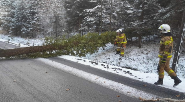 Wskutek porannej burzy śnieżnej przewróciło się m.in. drzewo na drogę powiatową w Zalasowej, tarasując przejazd w obu kierunkach