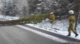 Początek kalendarzowej zimy. Na drogach Tarnowa i regionu zrobiło się biało i ślisko. Na dodatek mocno wieje wiatr