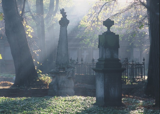 Lapidarium Rzeźby Nagrobnej we Wschowie