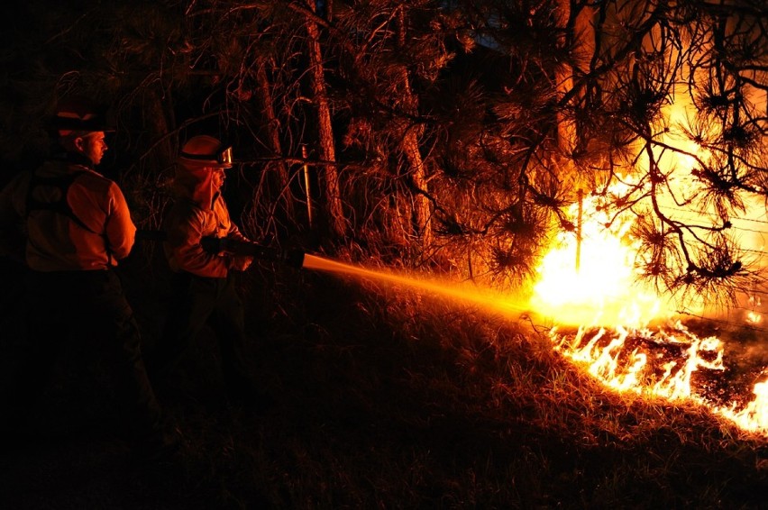 Kampinos - pożar. Płonie 15 hektarów lasu obok Nowego Dworu...